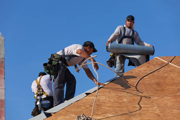 Best Gutter Installation and Roofing  in Mount Gilead, OH